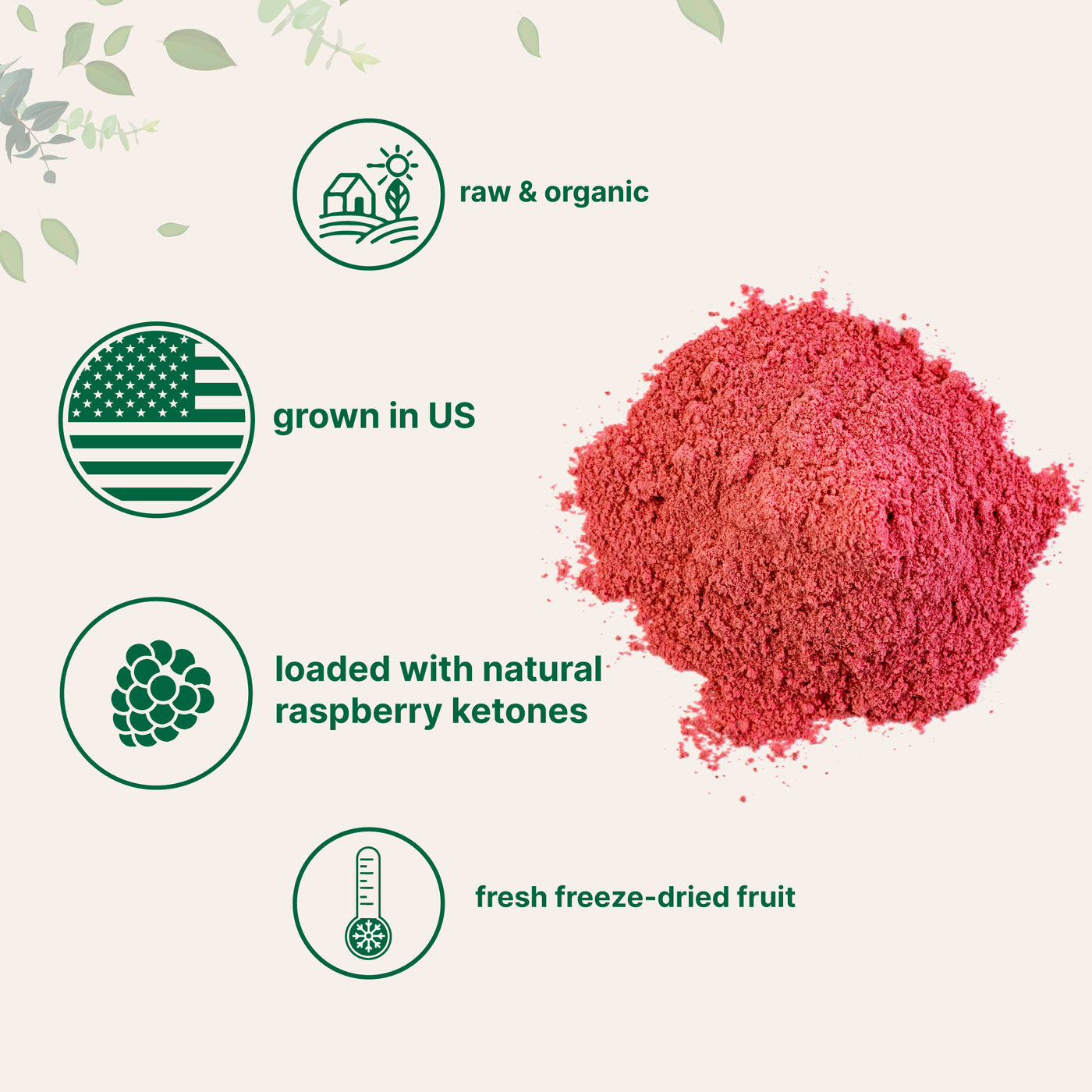 Organic Raspberry Juice Powder Forms