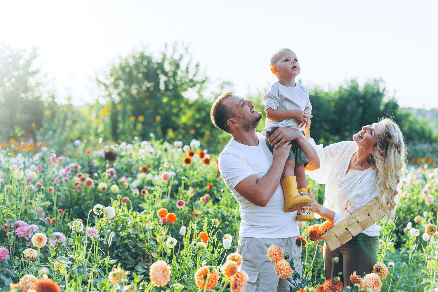 Oregano Oil Supplement Labels: Ratios, Carvacrol, and Quality Checks