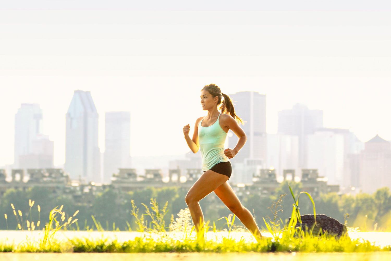 Whey Protein Concentrate vs Isolate: A Practical Label Guide