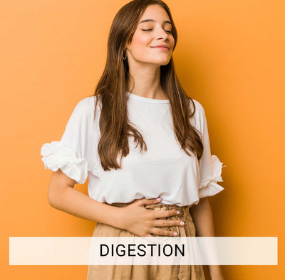 Digestion