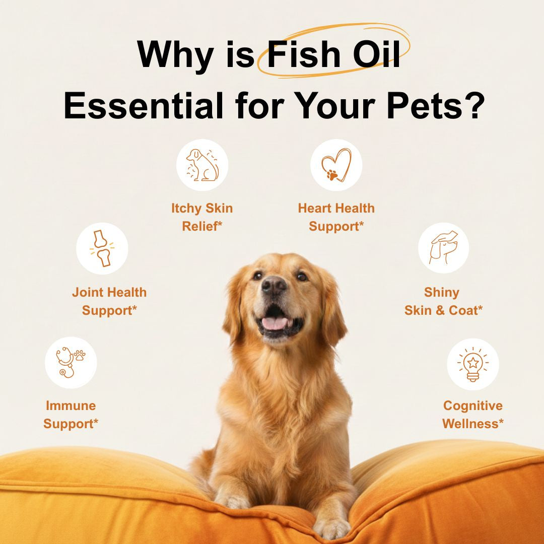 Micro Fish Oil Micro Ingredients Omega-3 Fish Oil for Dogs, 16 fl oz