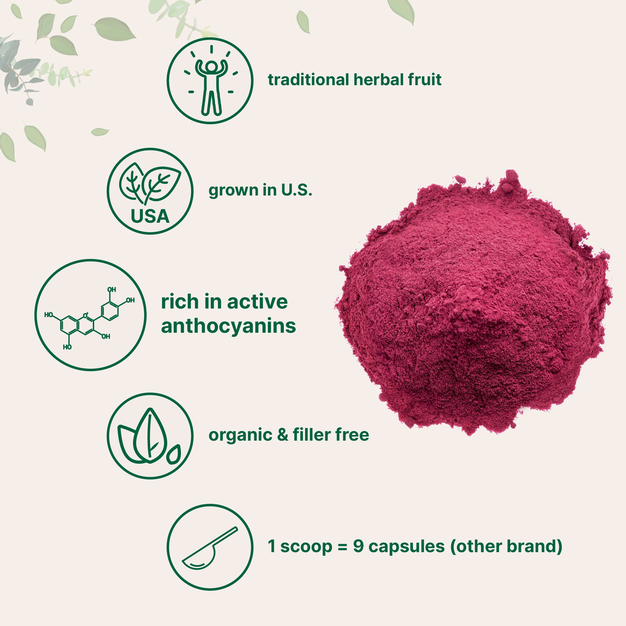Micro Ingredients Organic Tart Cherry Powder - 4 oz