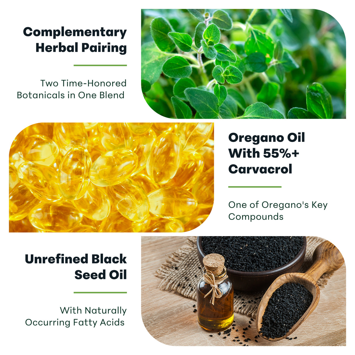 Micro Ingredients Oregano Oil with Black Seed Oil