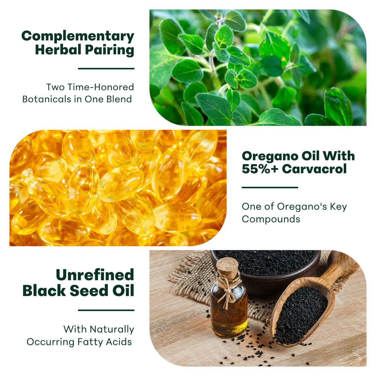 Micro Ingredients Oregano Oil with Black Seed Oil