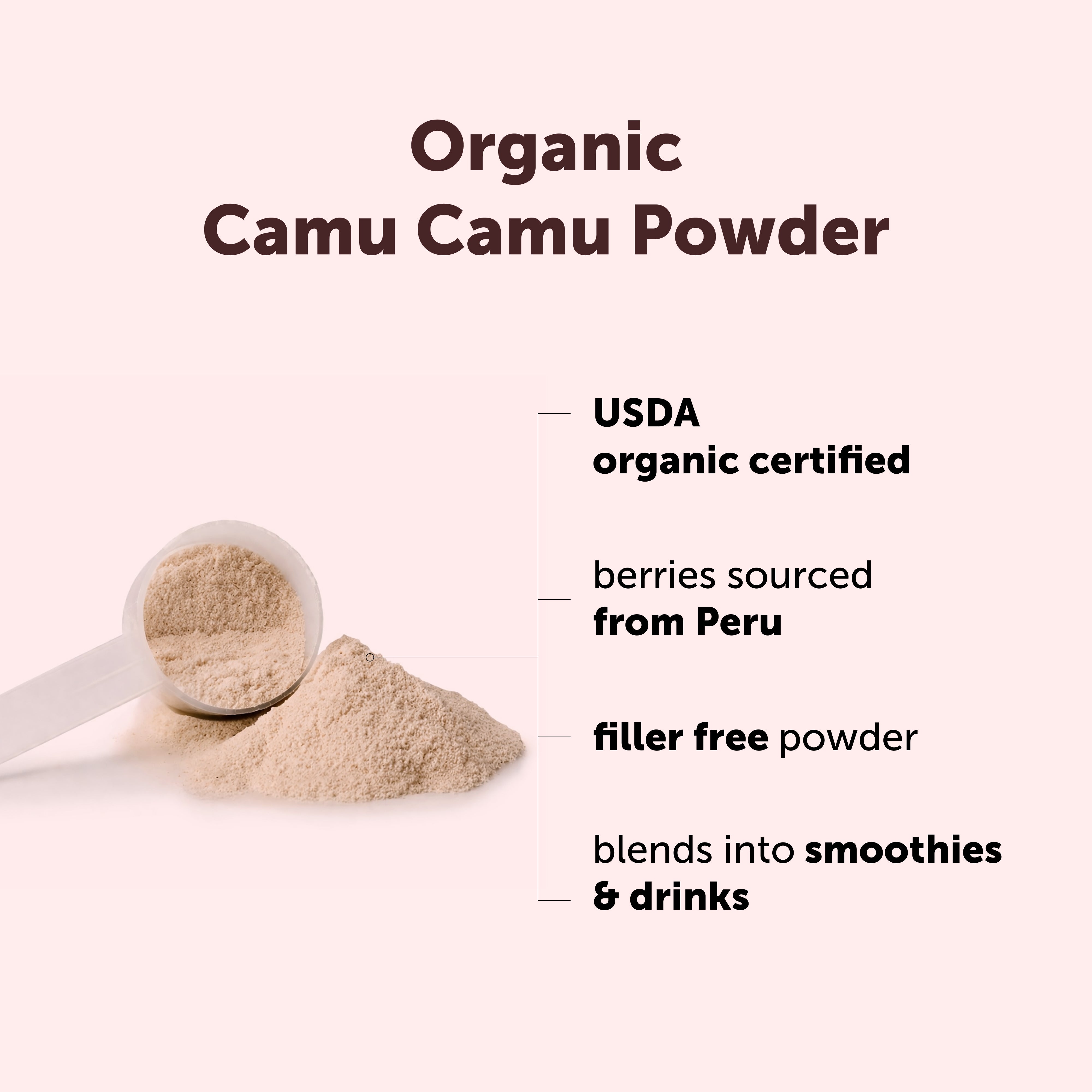 Micro Ingredients Organic Camu Camu Powder 12 Ounce