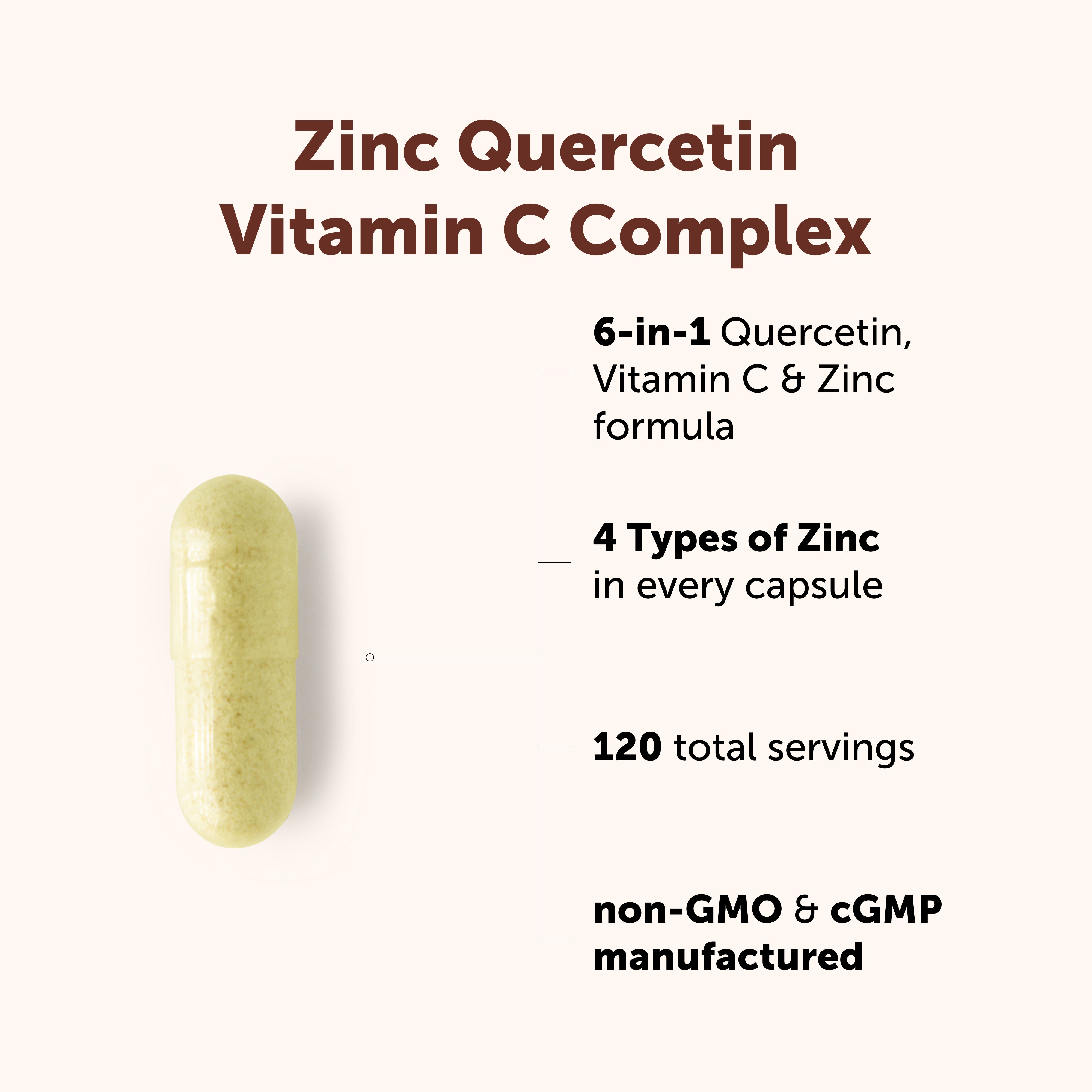 Micro Ingredients Zinc Quercetin 6-in-1 Complex with Vitamin C, 240 Capsules