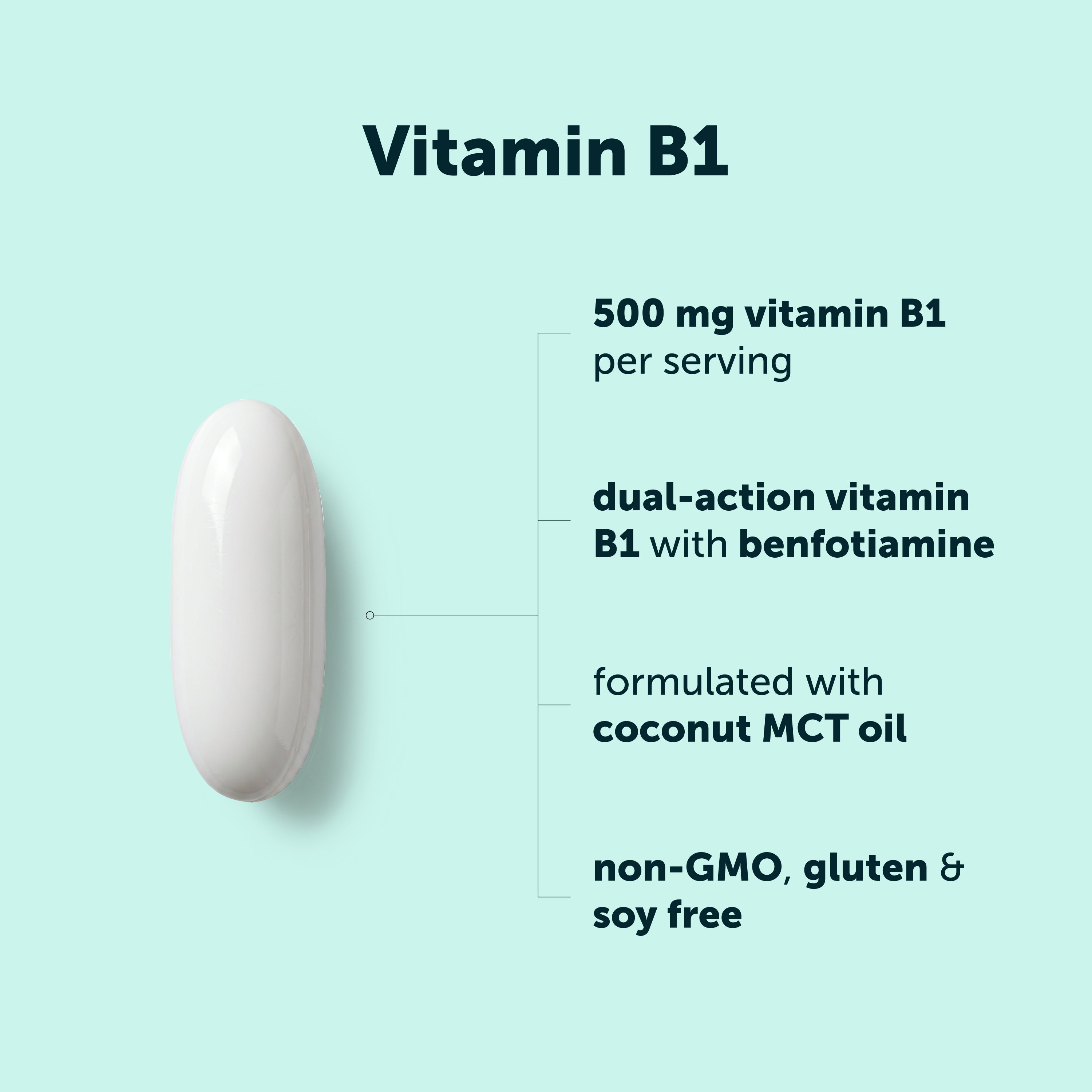 Micro Ingredients Vitamin B1 500mg with Benfotiamine with MCT Oil, 240 softgels