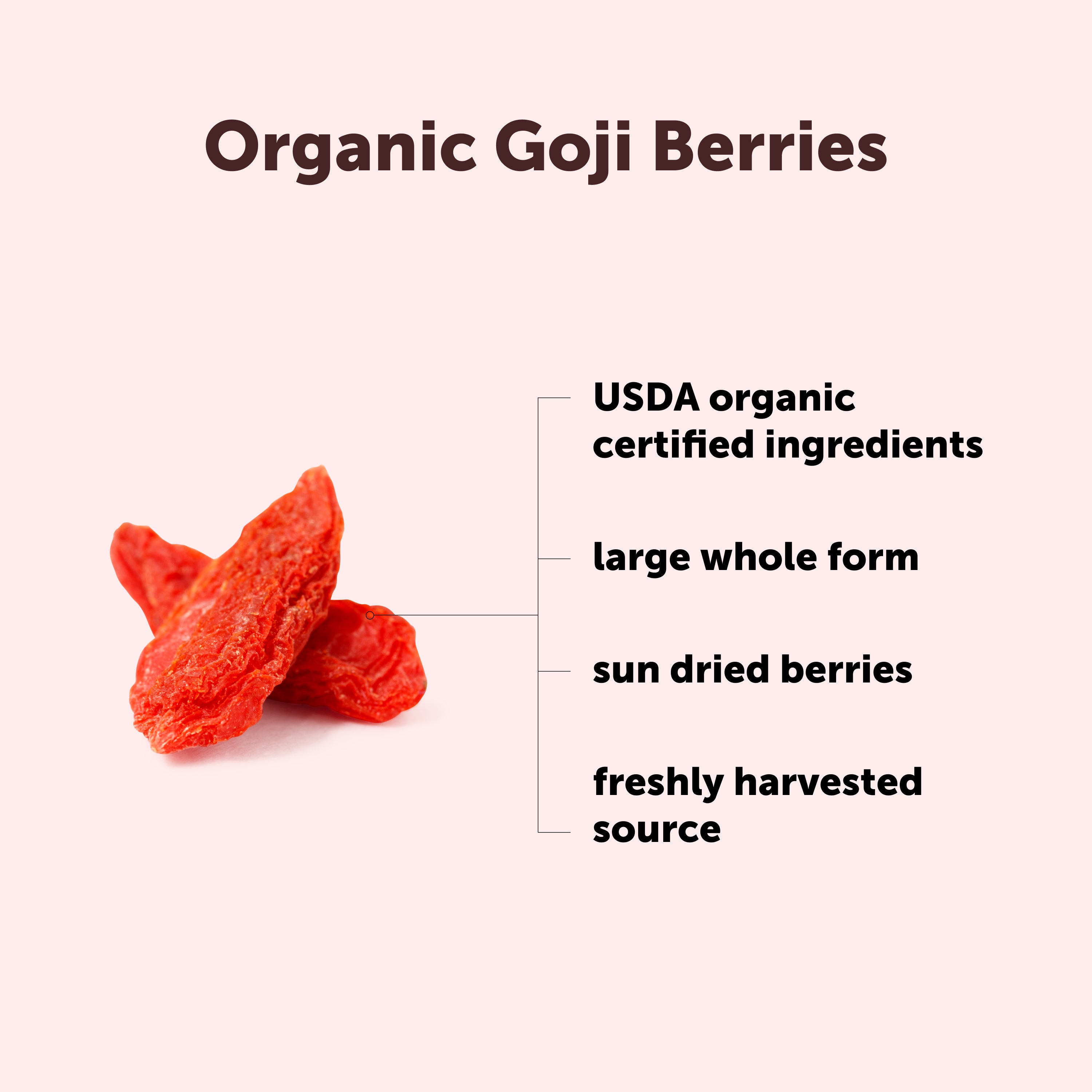 Micro Ingredients Organic Goji Berries, 1lb