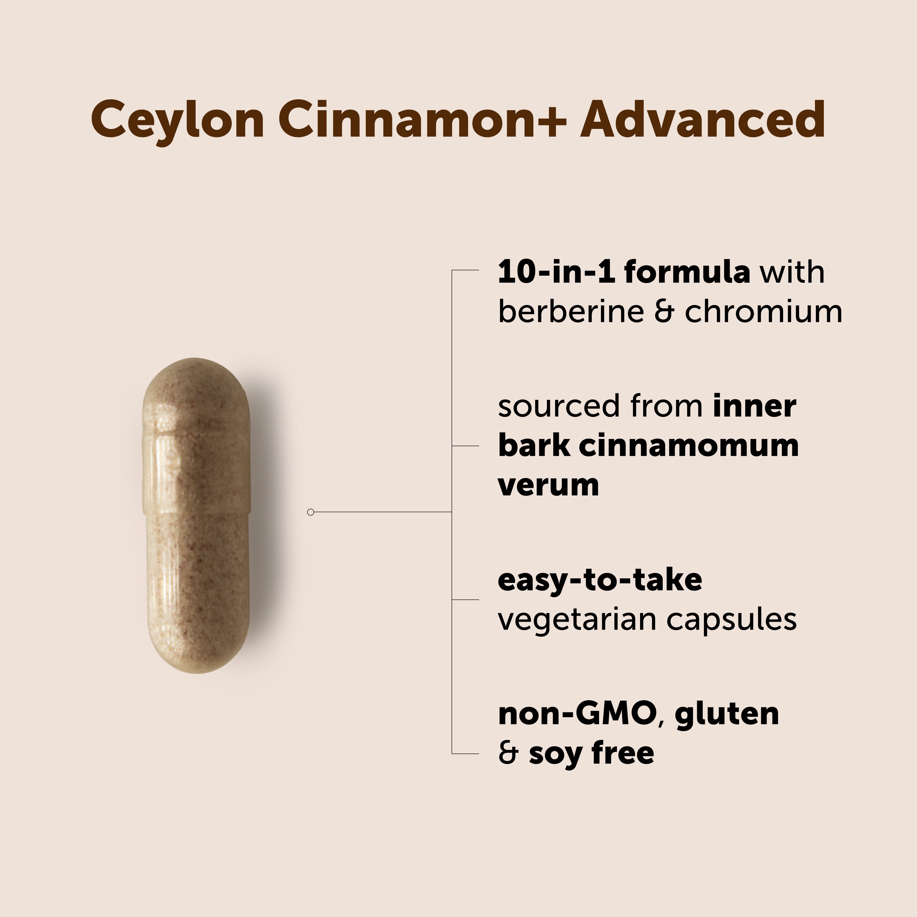 Micro Ingredients Ceylon Cinnamon+ Advanced 10-in-1, 240 Vegetarian Capsules