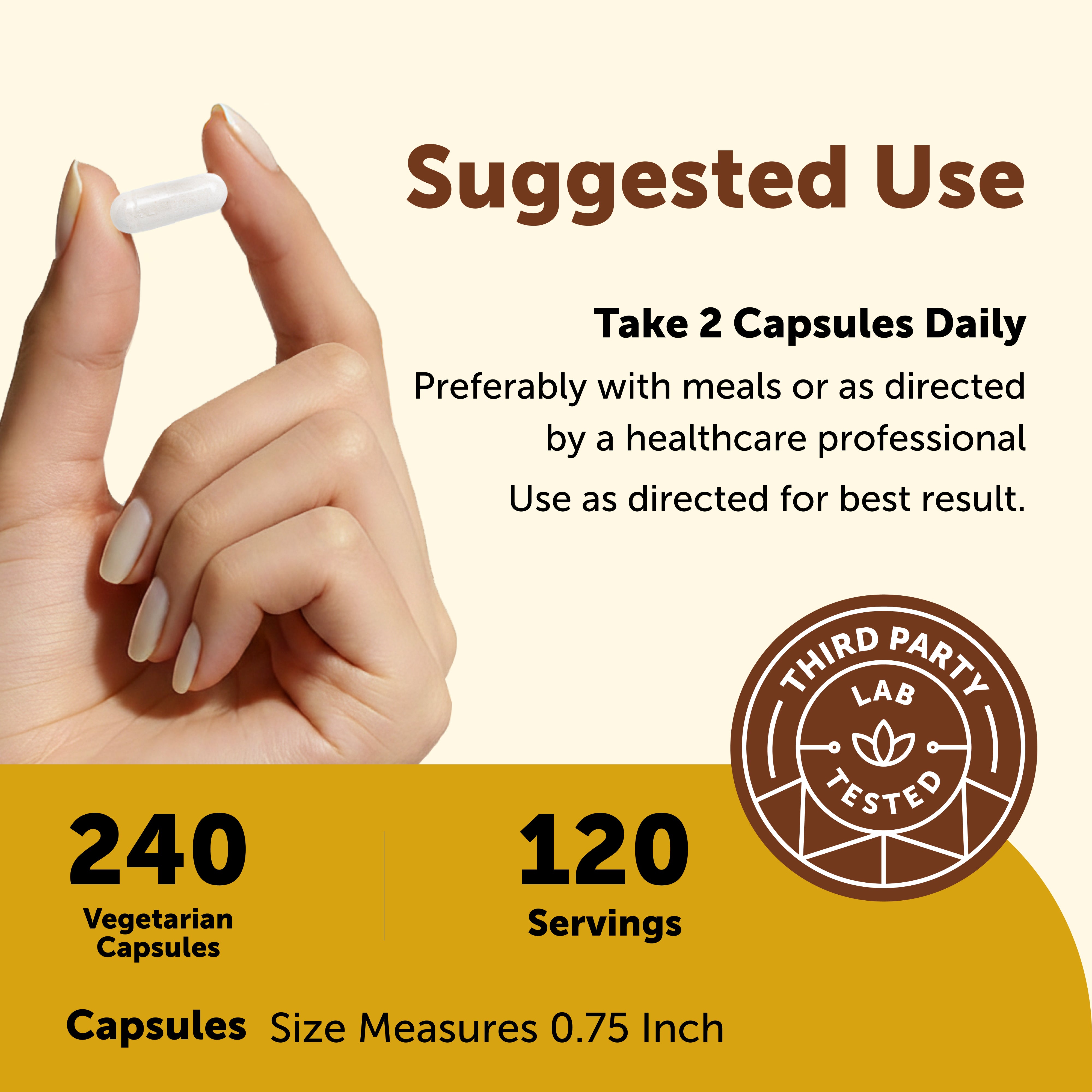 Micro Ingredients Bariatric Multivitamin with 45mg Iron, 240 Veggie Capsules