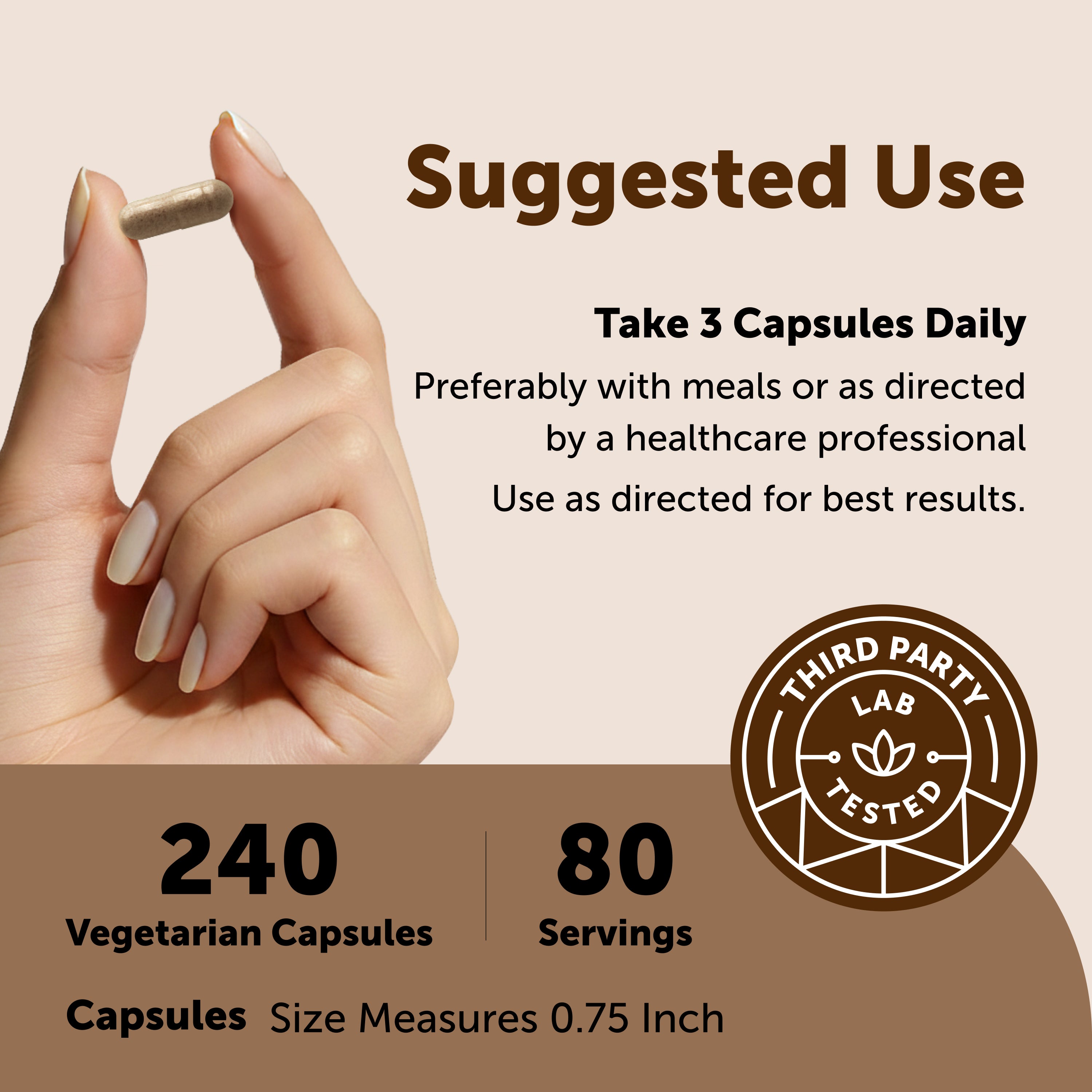 Micro Ingredients Ceylon Cinnamon+ Advanced 10-in-1, 240 Vegetarian Capsules