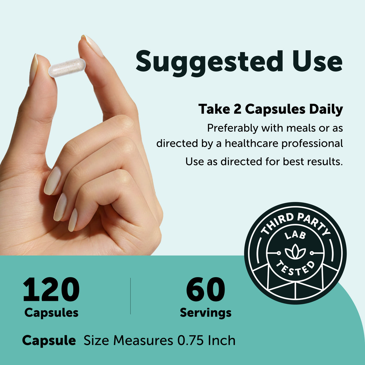 Micro Ingredients Methylated B Complex, 120 Capsules