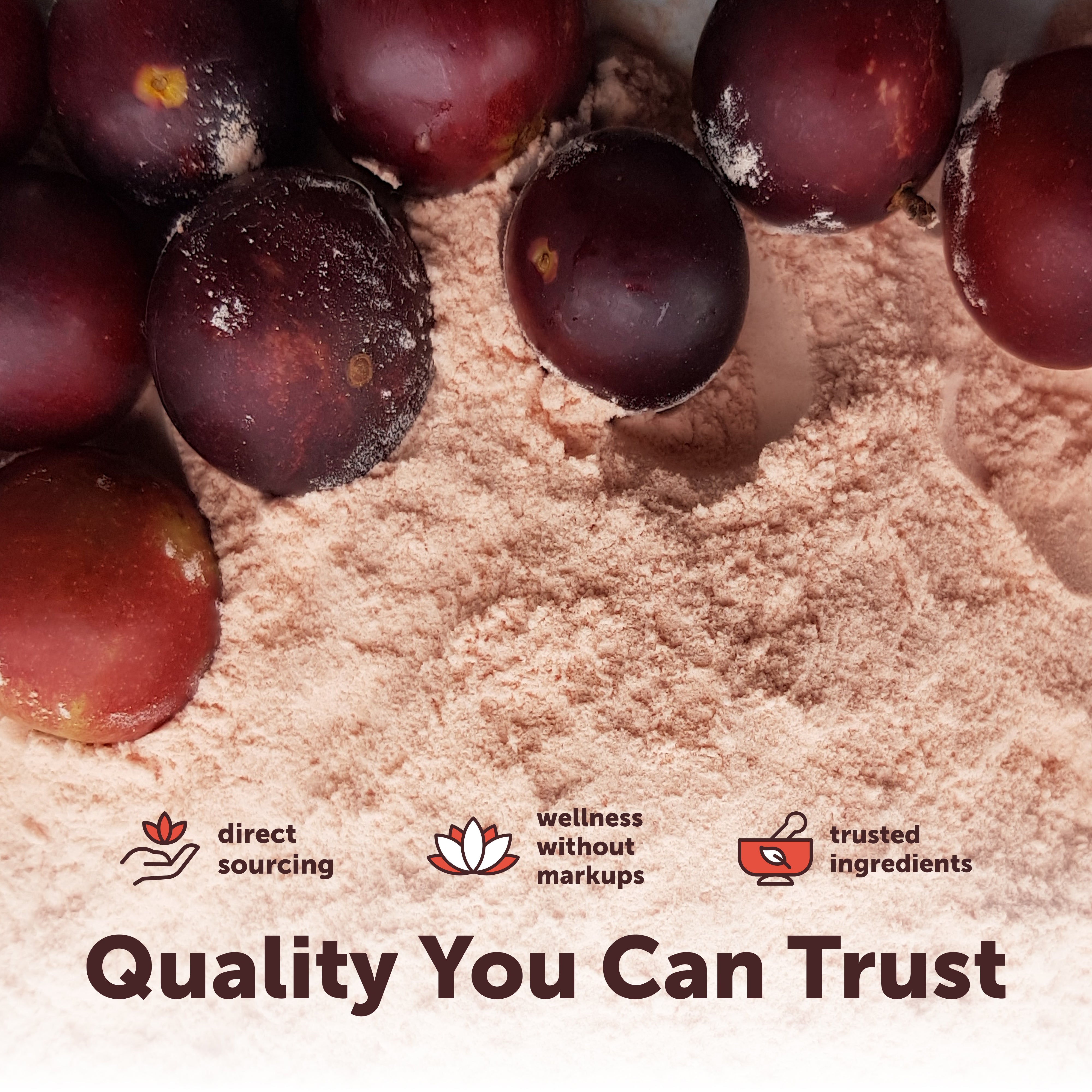 Micro Ingredients Organic Camu Camu Powder 12 Ounce