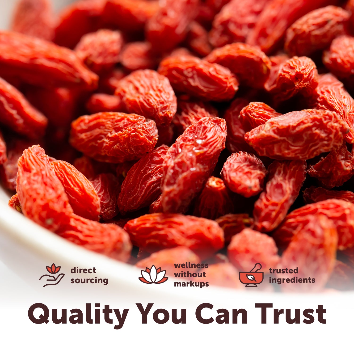 Micro Ingredients Organic Goji Berries, 1lb