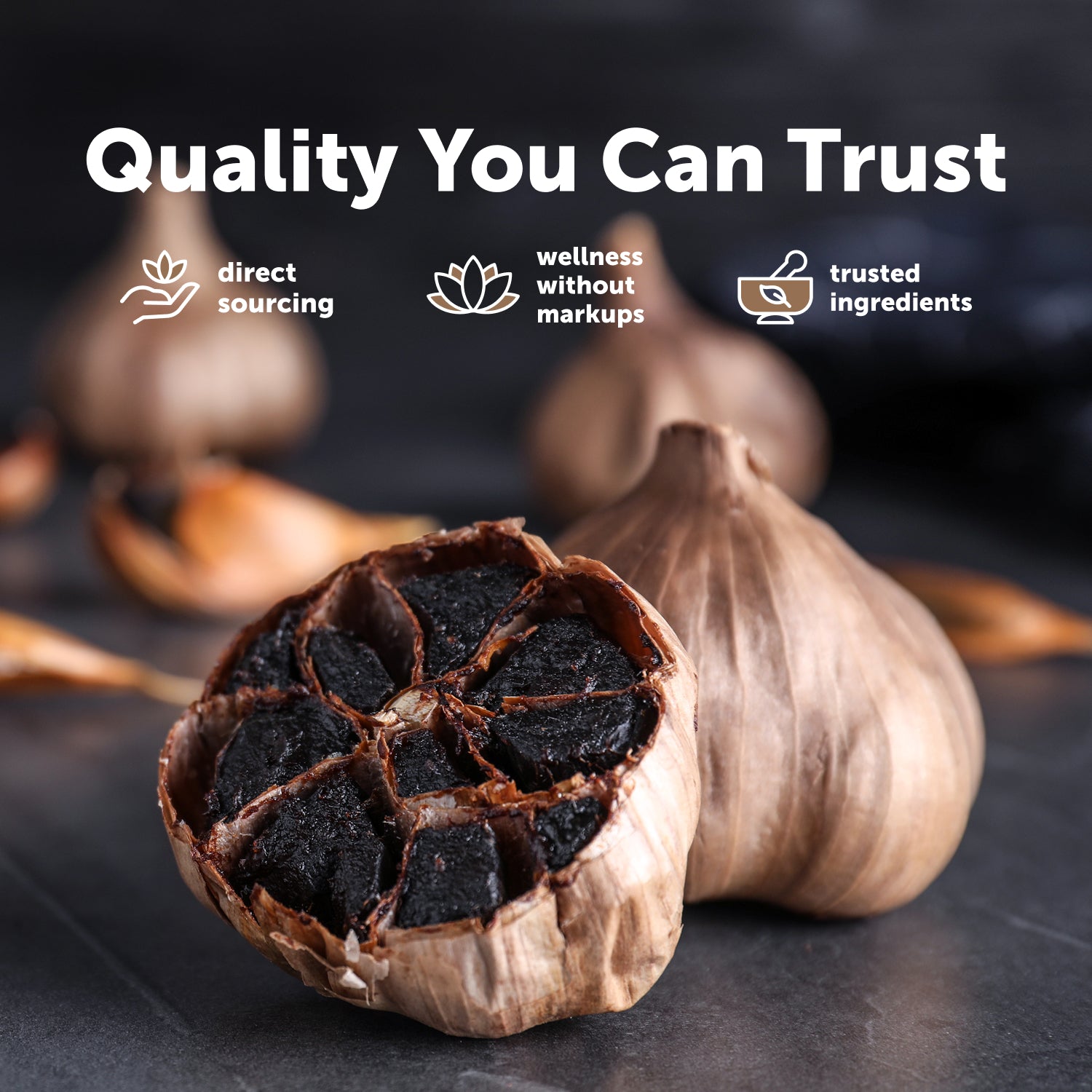 Micro Ingredients Odorless Aged Garlic & Black Garlic 1000 mg, 240 Vegetarian Capsules