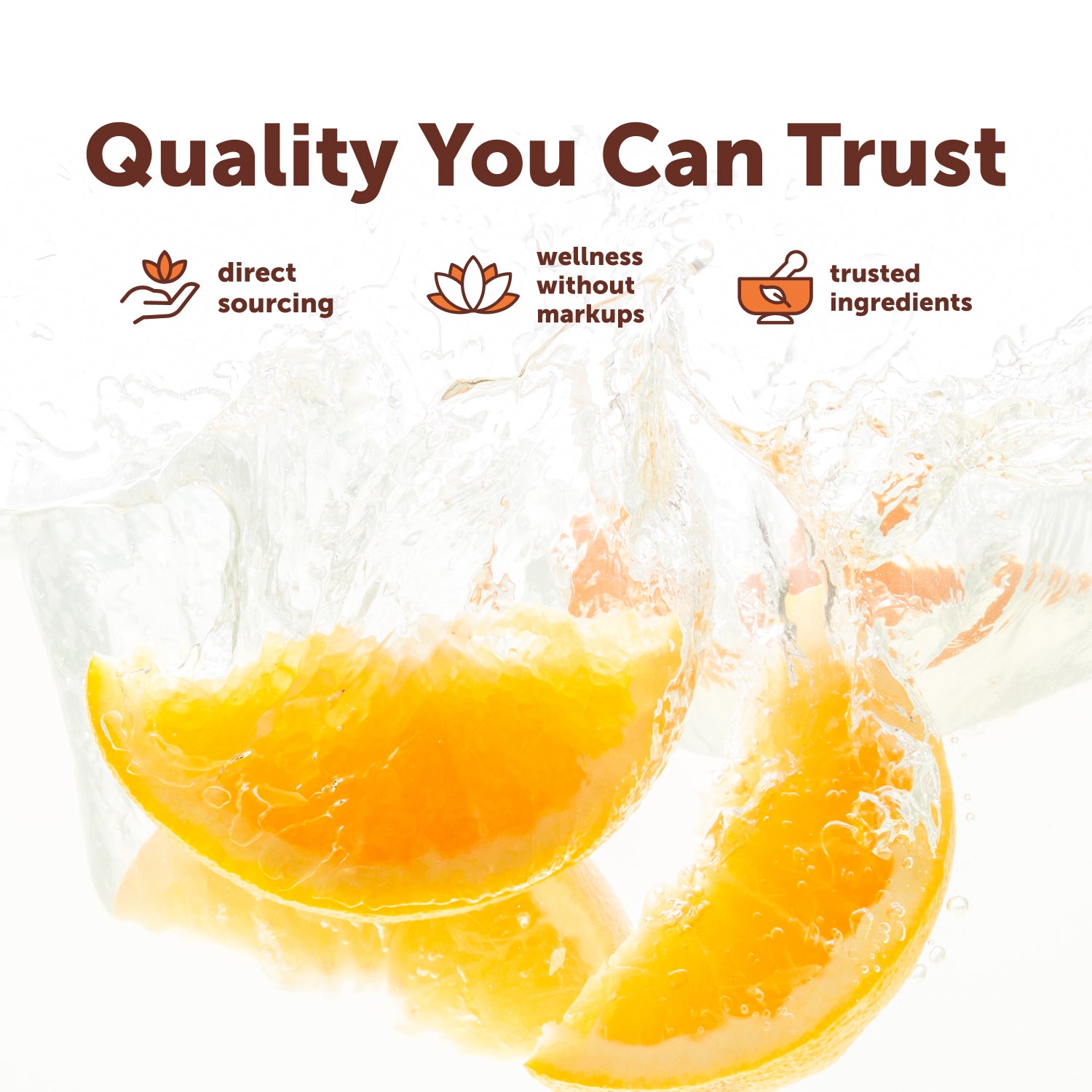 Micro Ingredients Zinc Quercetin 6-in-1 Complex with Vitamin C, 240 Capsules