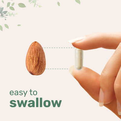 Micro Ingredients KSM-66 Ashwagandha 1,000mg Per Serving 120 Veggie Capsules