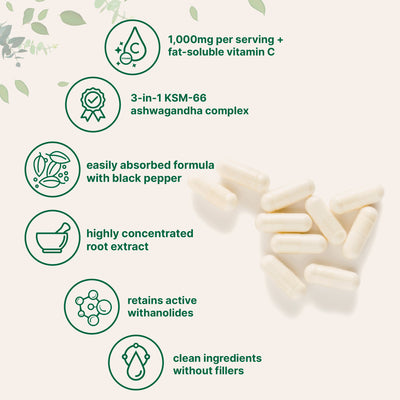 Micro Ingredients KSM-66 Ashwagandha 1,000mg Per Serving 120 Veggie Capsules