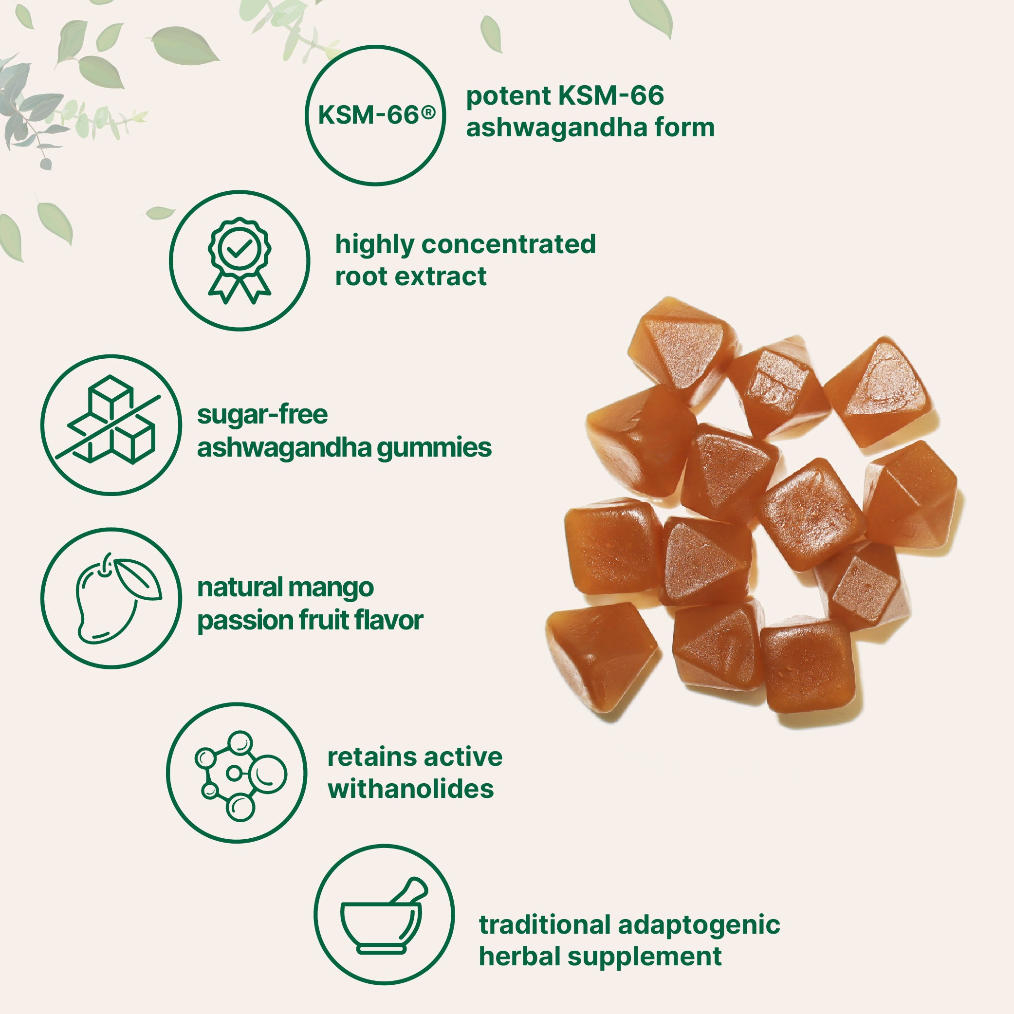 Micro Ingredients KSM-66 Ashwagandha Gummies 300mg, 120 Count