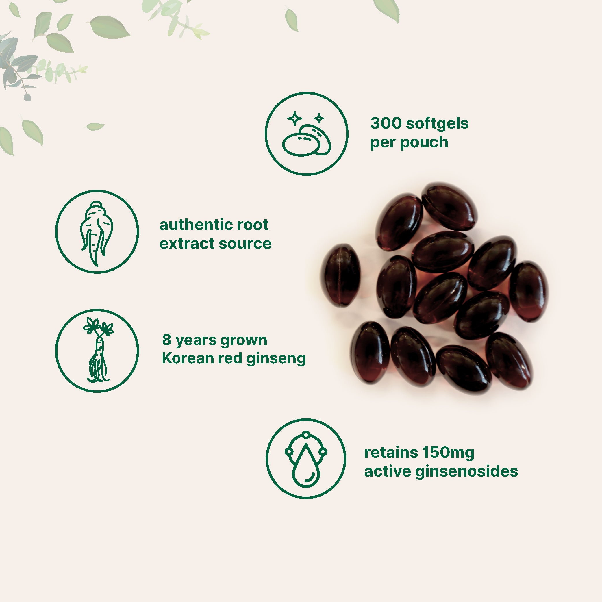 Micro Ingredients Panax Ginseng, 300 Softgels