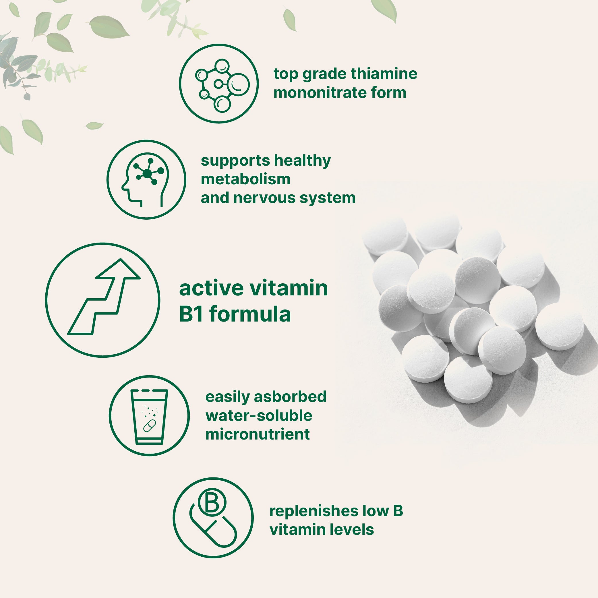 Micro Ingredients Vitamin B1 Thiamine Tablets