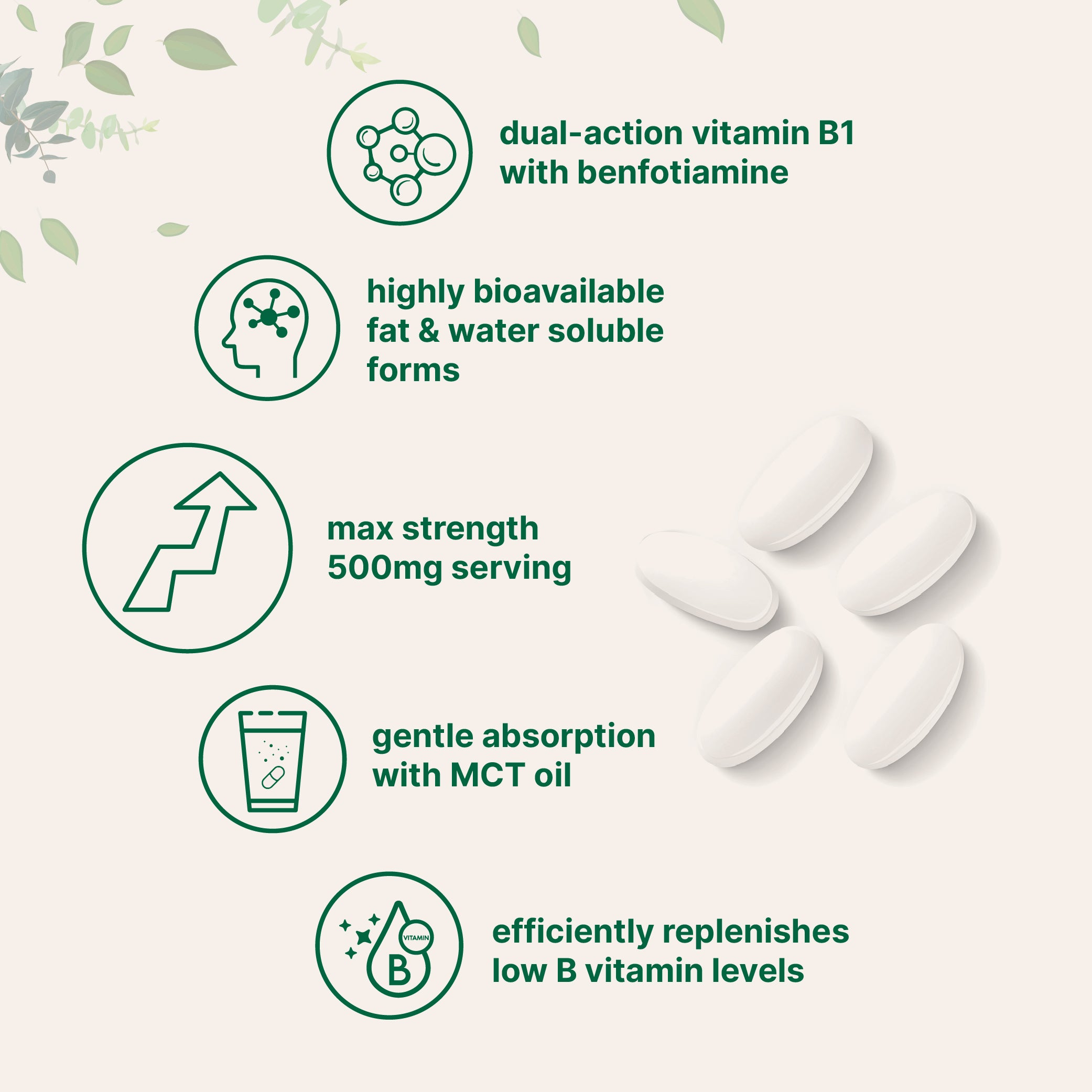 Micro Ingredients Vitamin B1 500mg with Benfotiamine with MCT Oil, 240 softgels