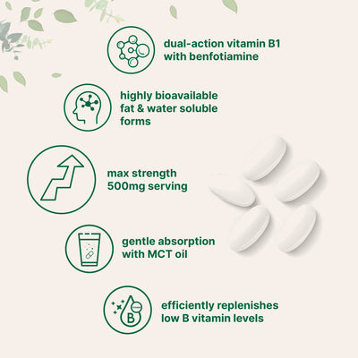 Micro Ingredients Vitamin B1 500mg with Benfotiamine with MCT Oil, 240 softgels
