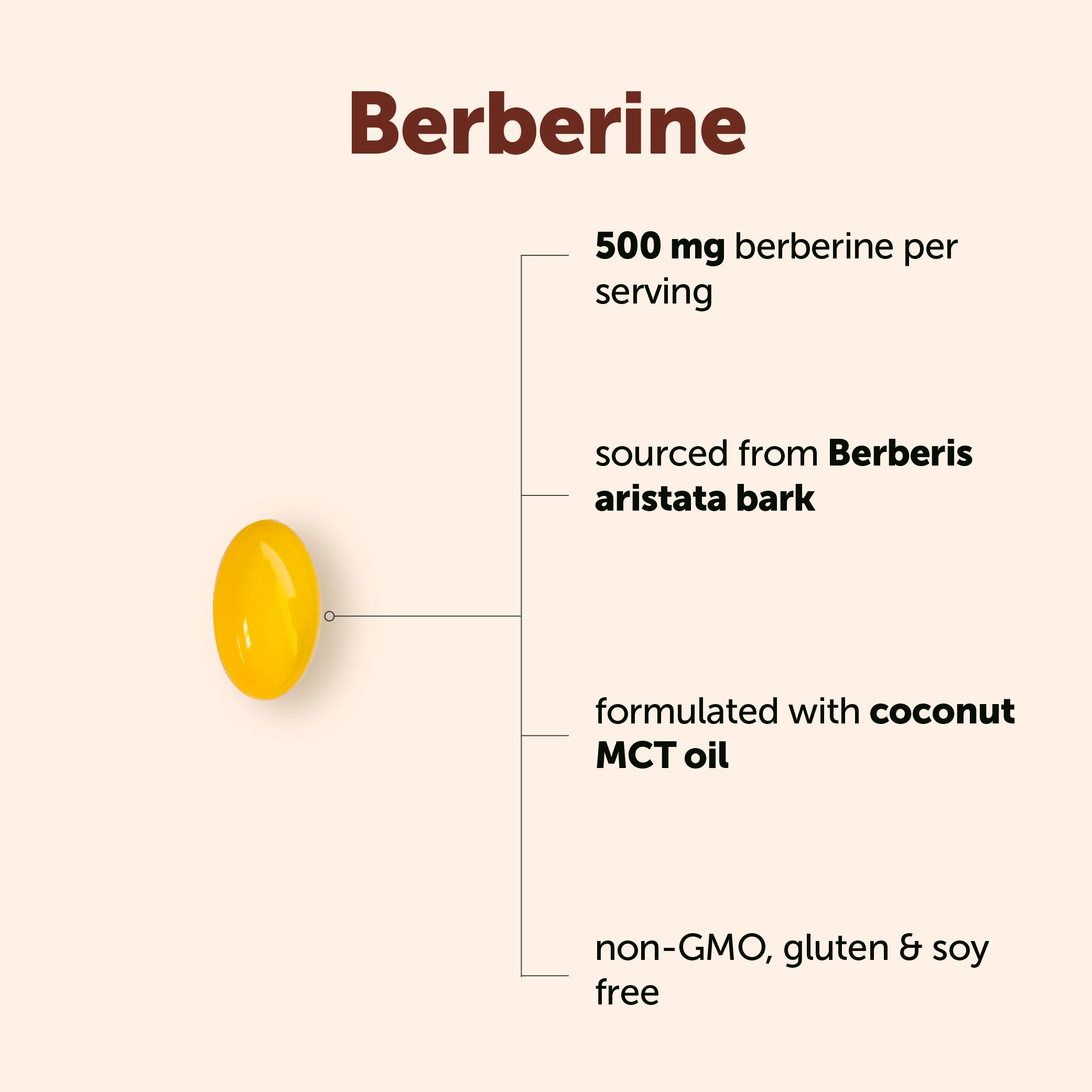 Micro Ingredients Berberine 500mg with MCT Oil, 240 Softgels