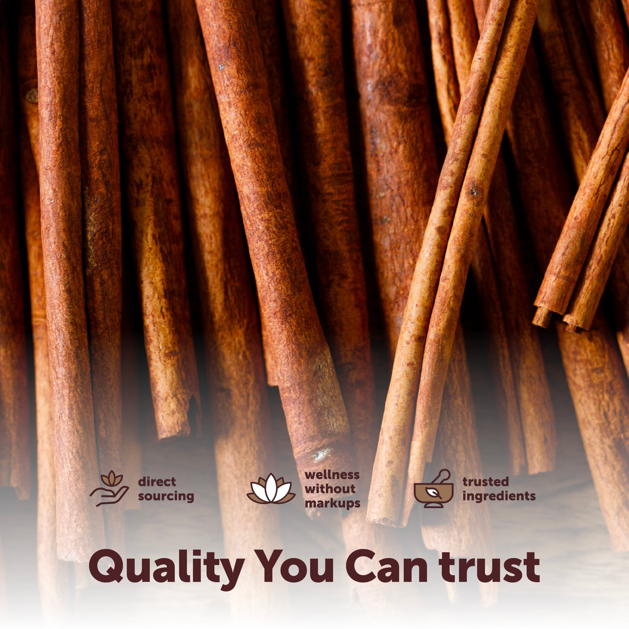 Micro Ingredients Organic Whole Cinnamon Sticks, 2LB