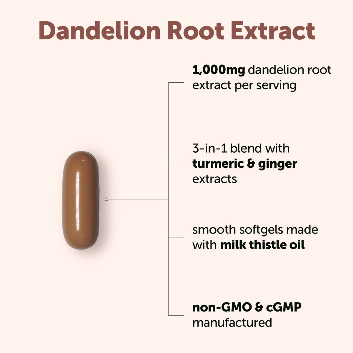 Da Roots Ingredients Micro Ingredients Dandelion Root with Turmeric Root and Ginger Root, 2