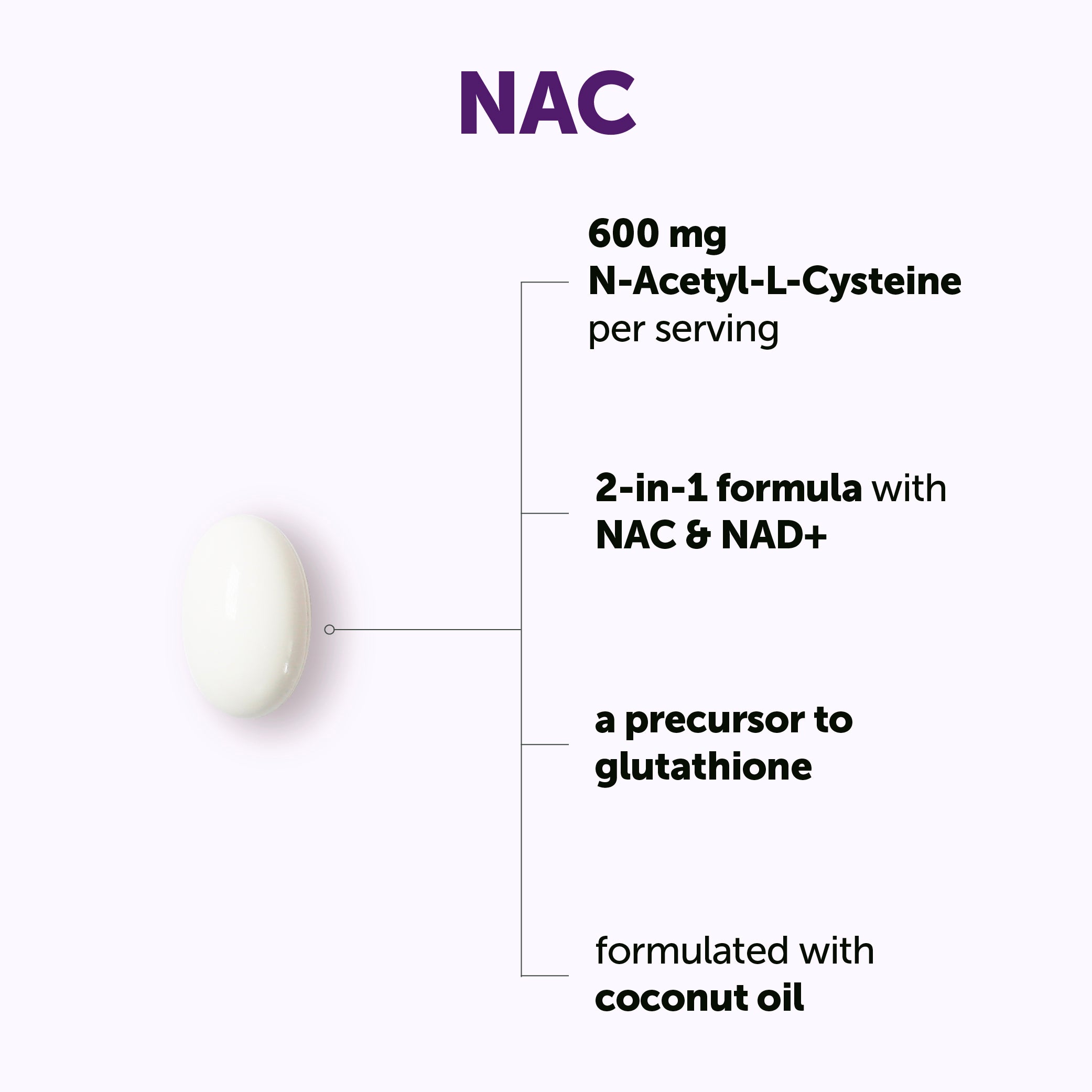 Micro Ingredients NAC 600mg with NAD+, N-Acetyl L-Cysteine + Nicotinamide + MCT Oil, Cellular Energy & Antioxidant Support