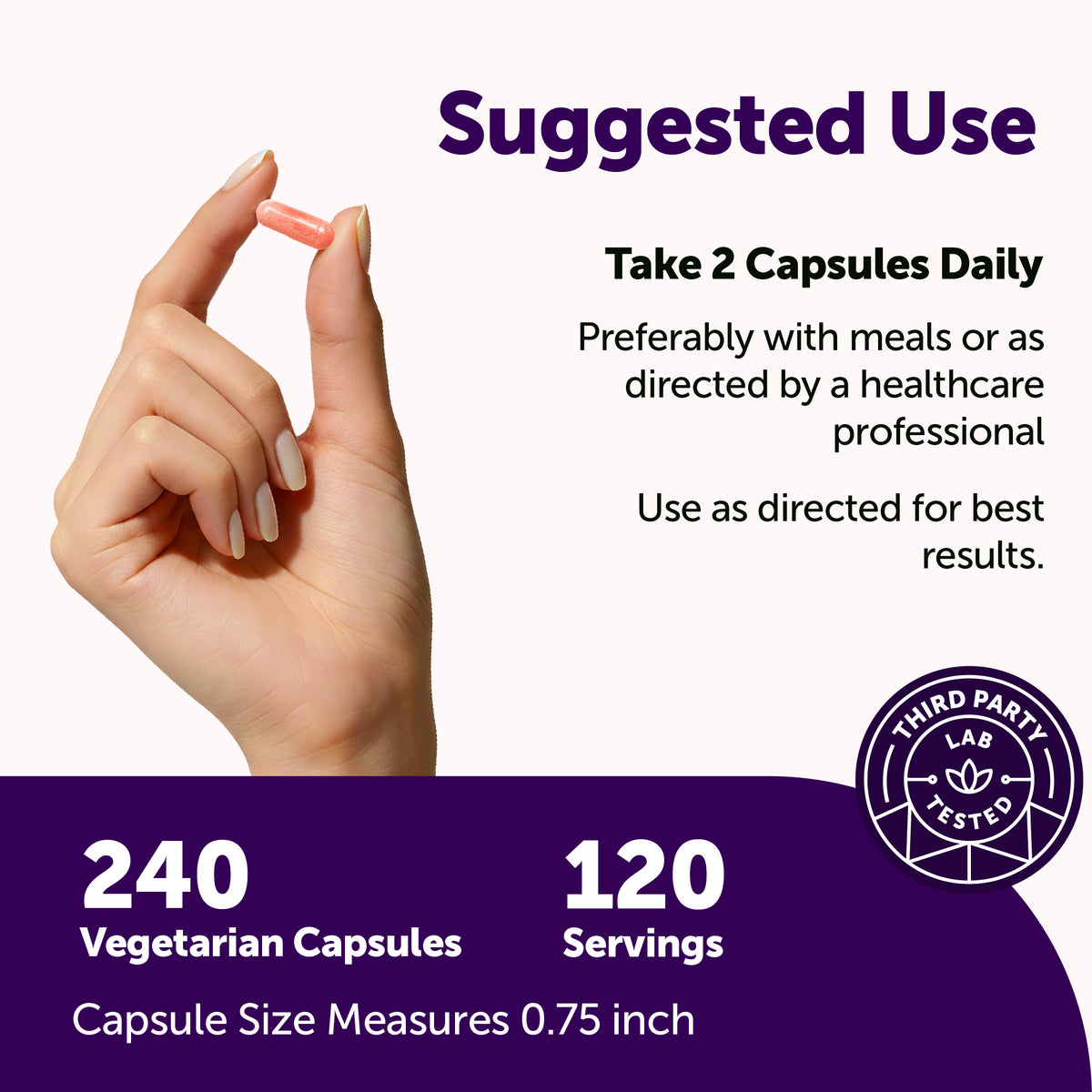 Micro Ingredients PQQ 40mg 3-in-1 Complex, 240 Vegetarian Capsules