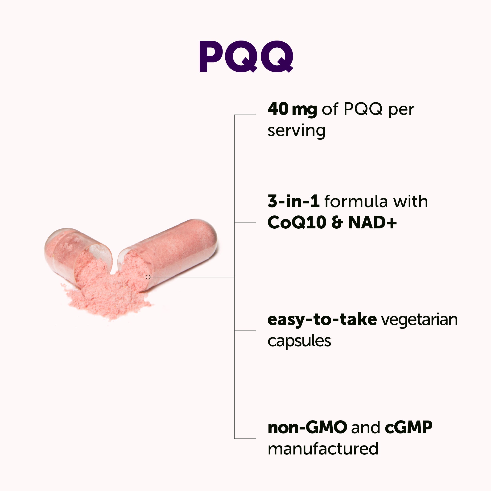 Micro Ingredients PQQ 40mg 3-in-1 Complex, 240 Vegetarian Capsules