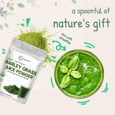 Organic Barley Grass Juice Powder, 10 Ounce Nature's Gift