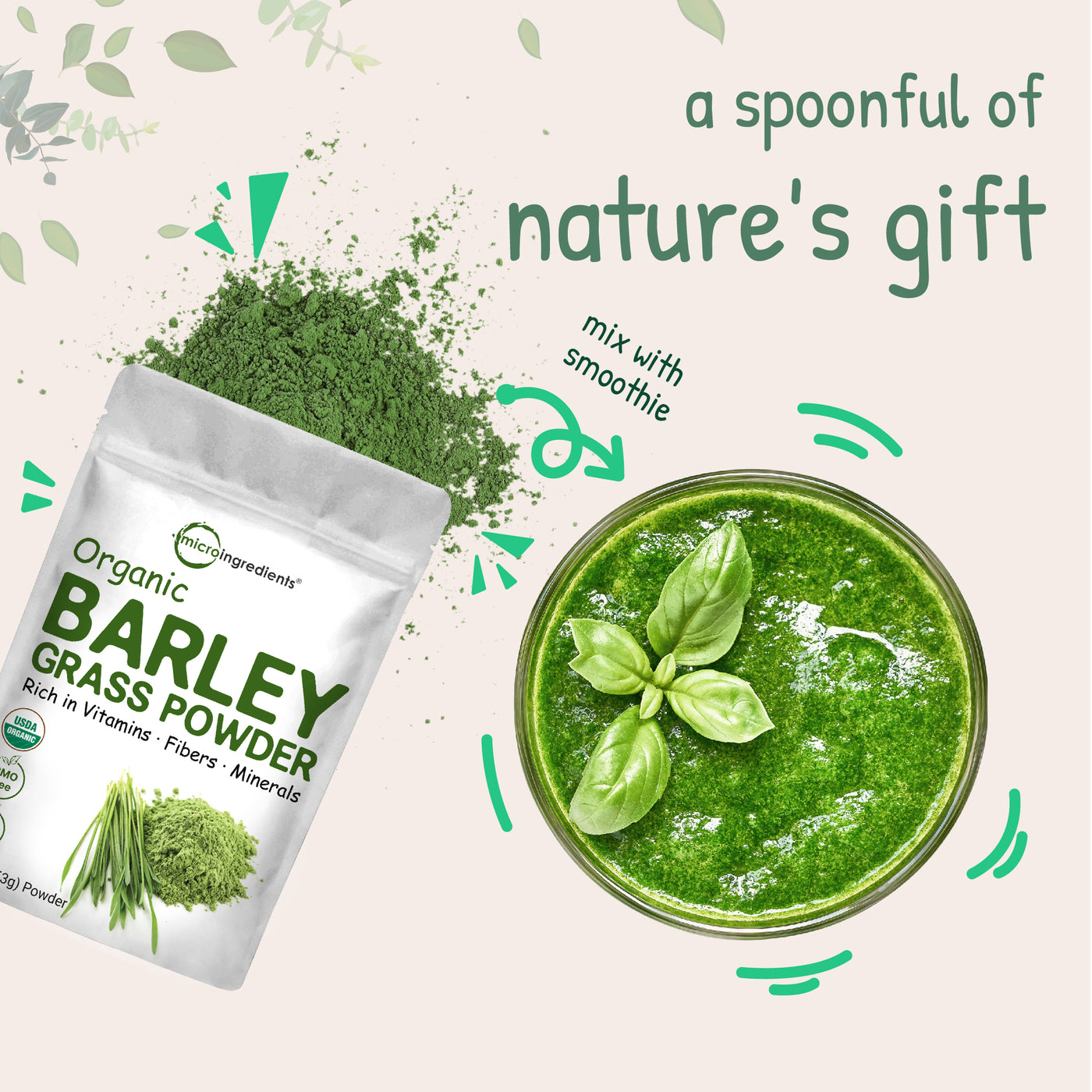 Organic Barley Grass Powder Nature's Gift