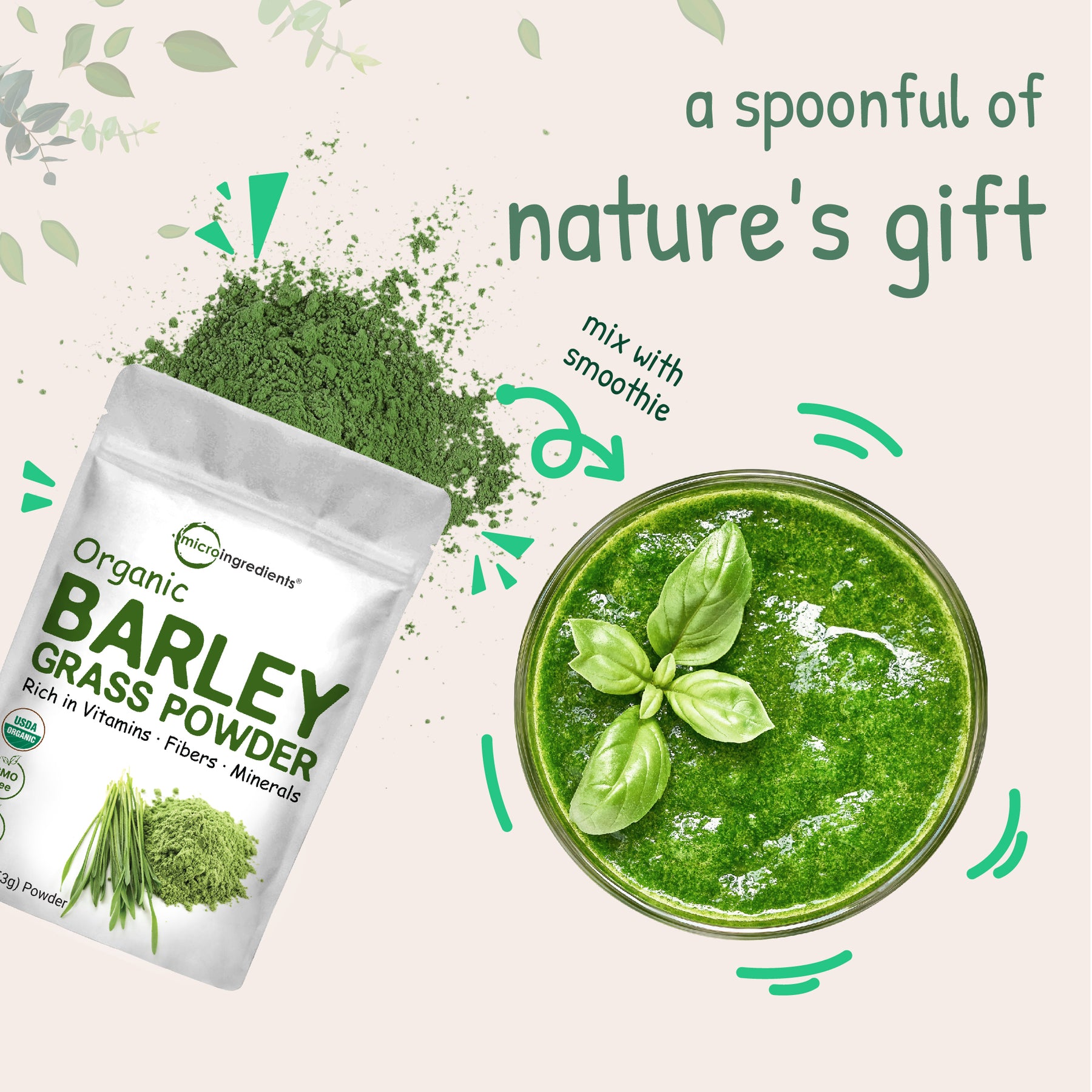 Premium Barley Green Powder - Organic Barley Grass – Micro Ingredients