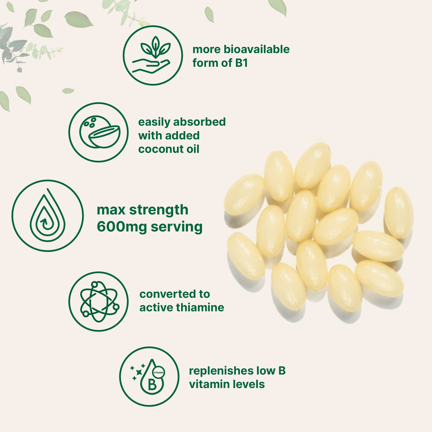 Vitamin B1 Benfotiamine, 240 Coconut Oil Softgels