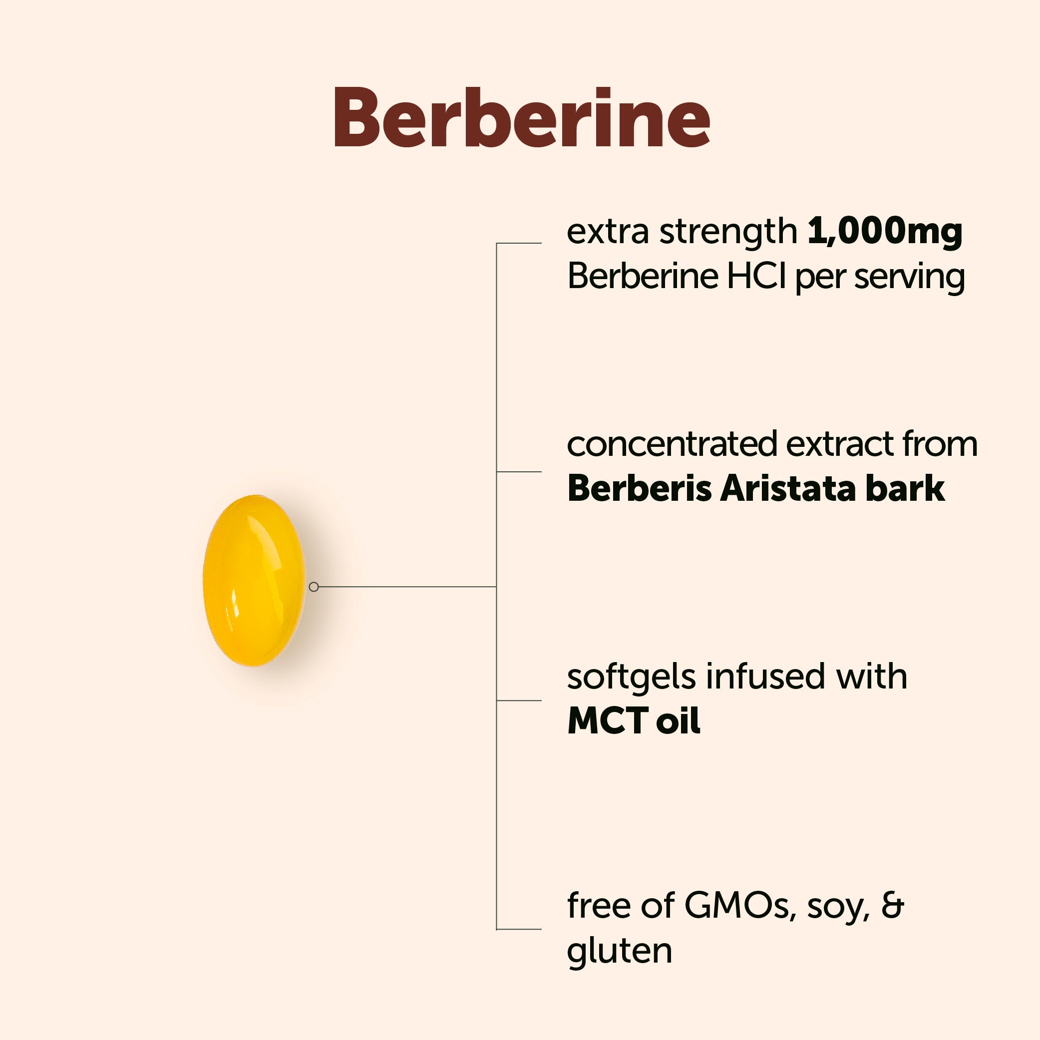 Micro Ingredients Berberine 1000mg with MCT Oil Softgels