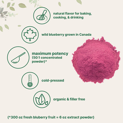 Organic Blueberry Extract Powder, 10oz