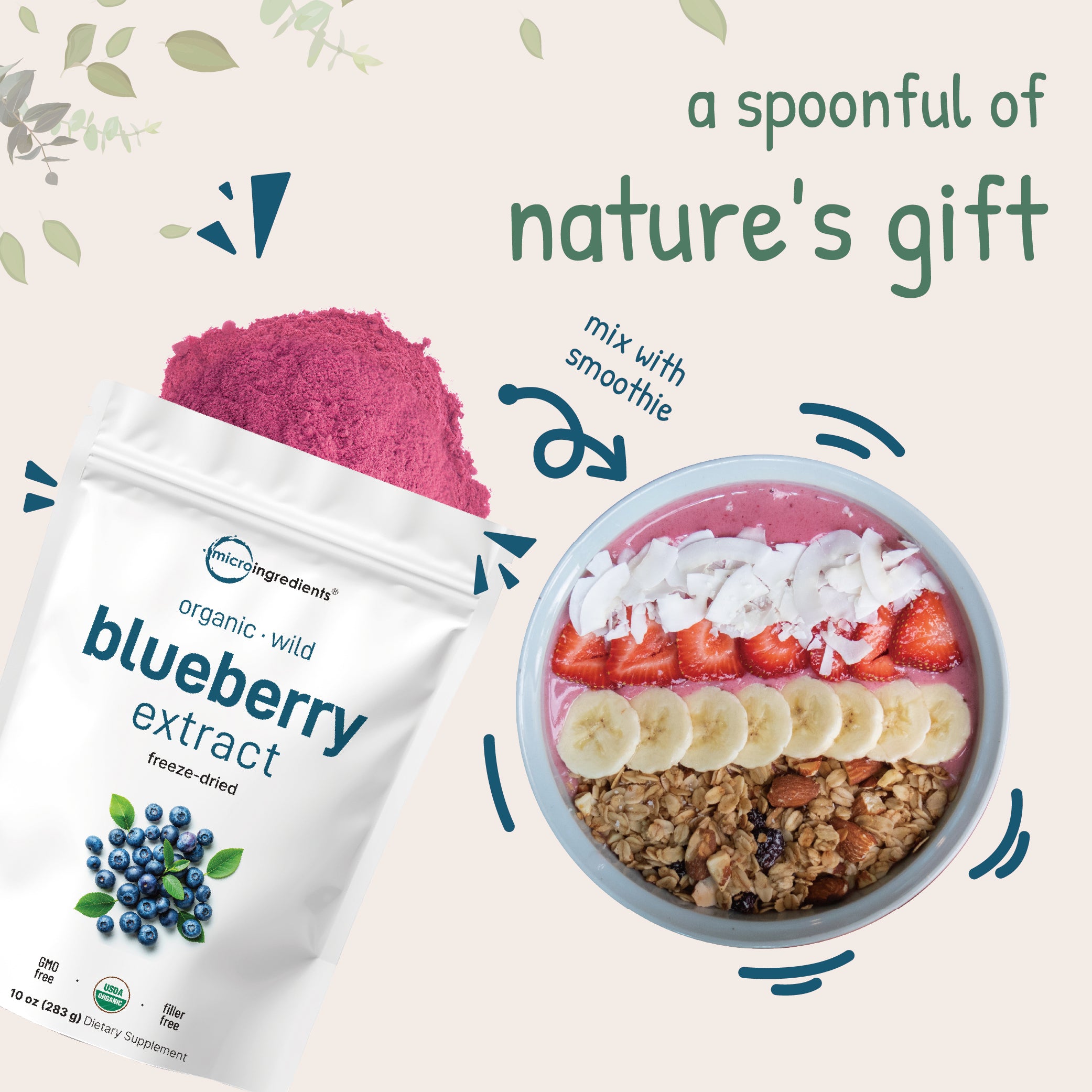 Organic Blueberry Powder - Premium Freeze Dried – Micro Ingredients