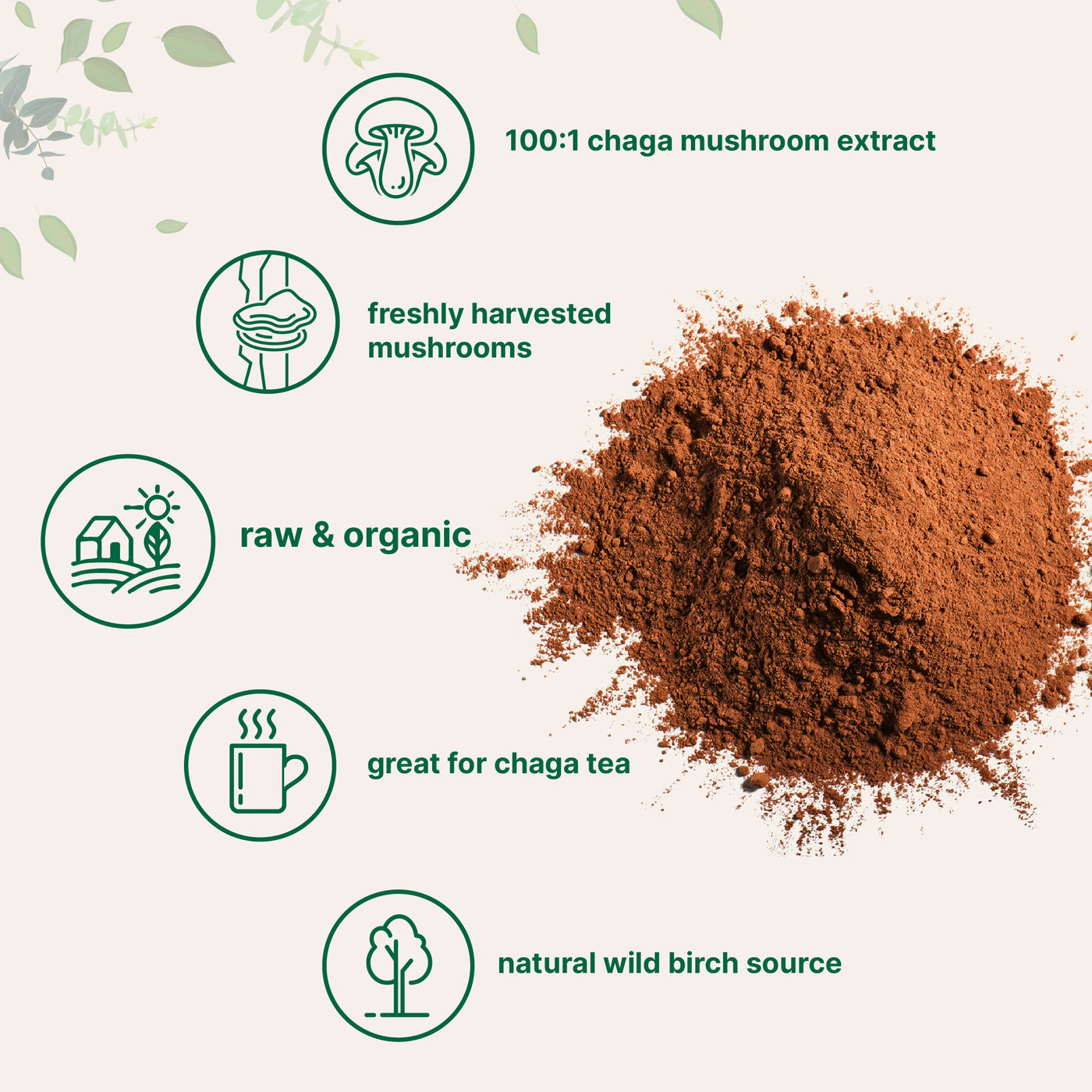 Organic Chaga Mushroom Extract 100:1 Powder, 10 Ounce