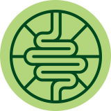 Wellness & Immunity