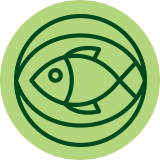 Fish Oil & Omegas