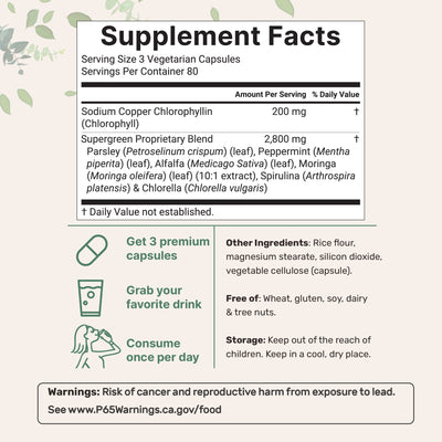 Micro Ingredients Chlorophyll 3,000mg Equivalent, 240 Veggie Capsules