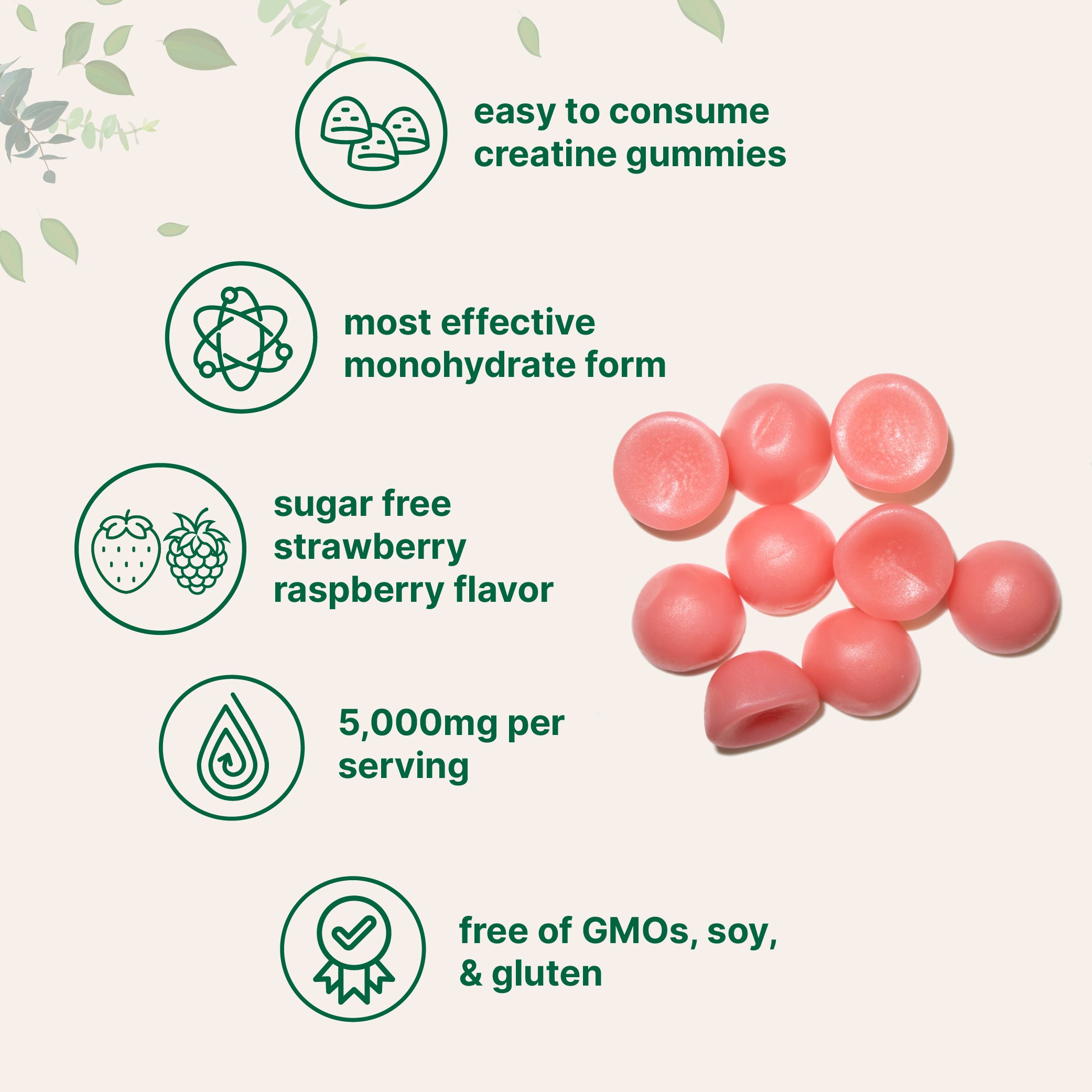 Creatine Monohydrate Gummies 5,000mg Per Serving, 120 Count