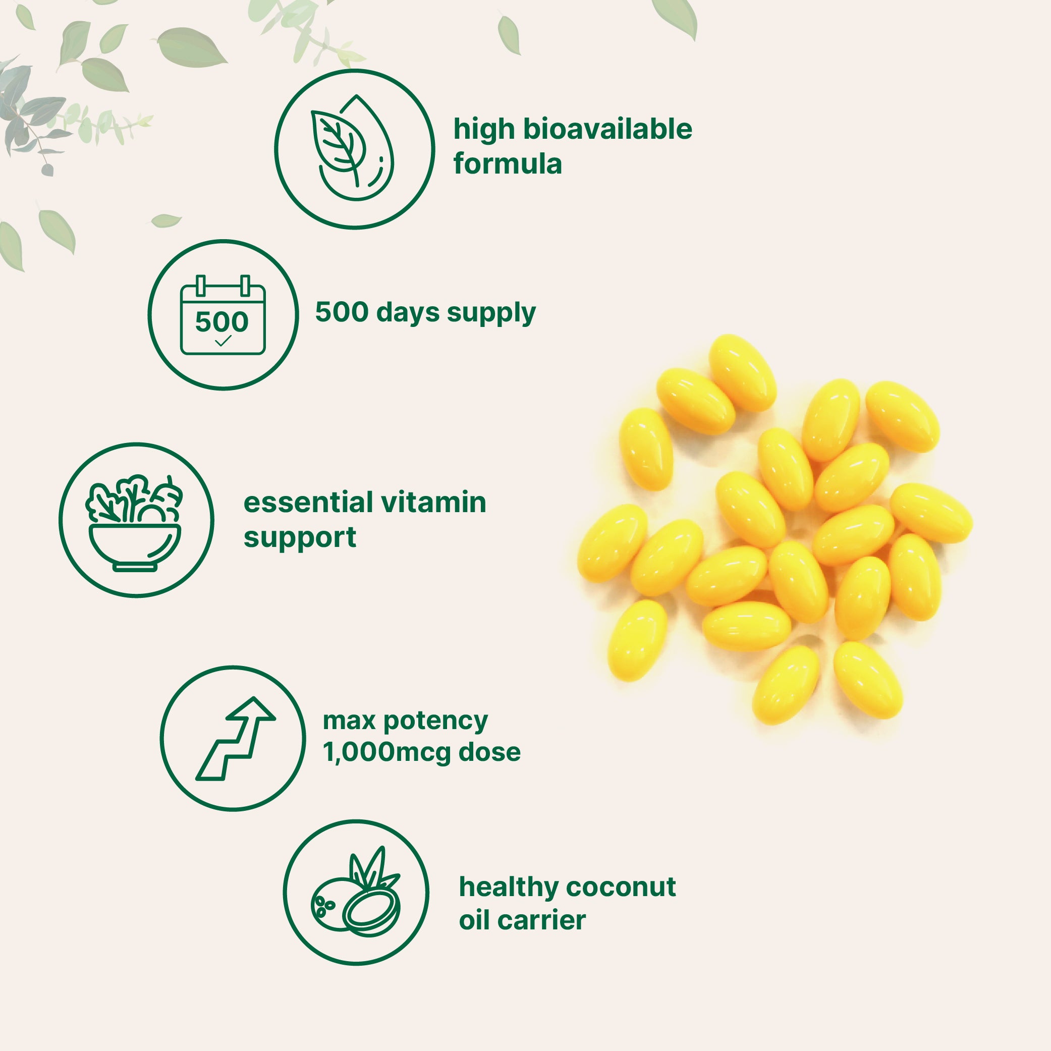 Micro Ingredients Premium Folic Acid Softgels