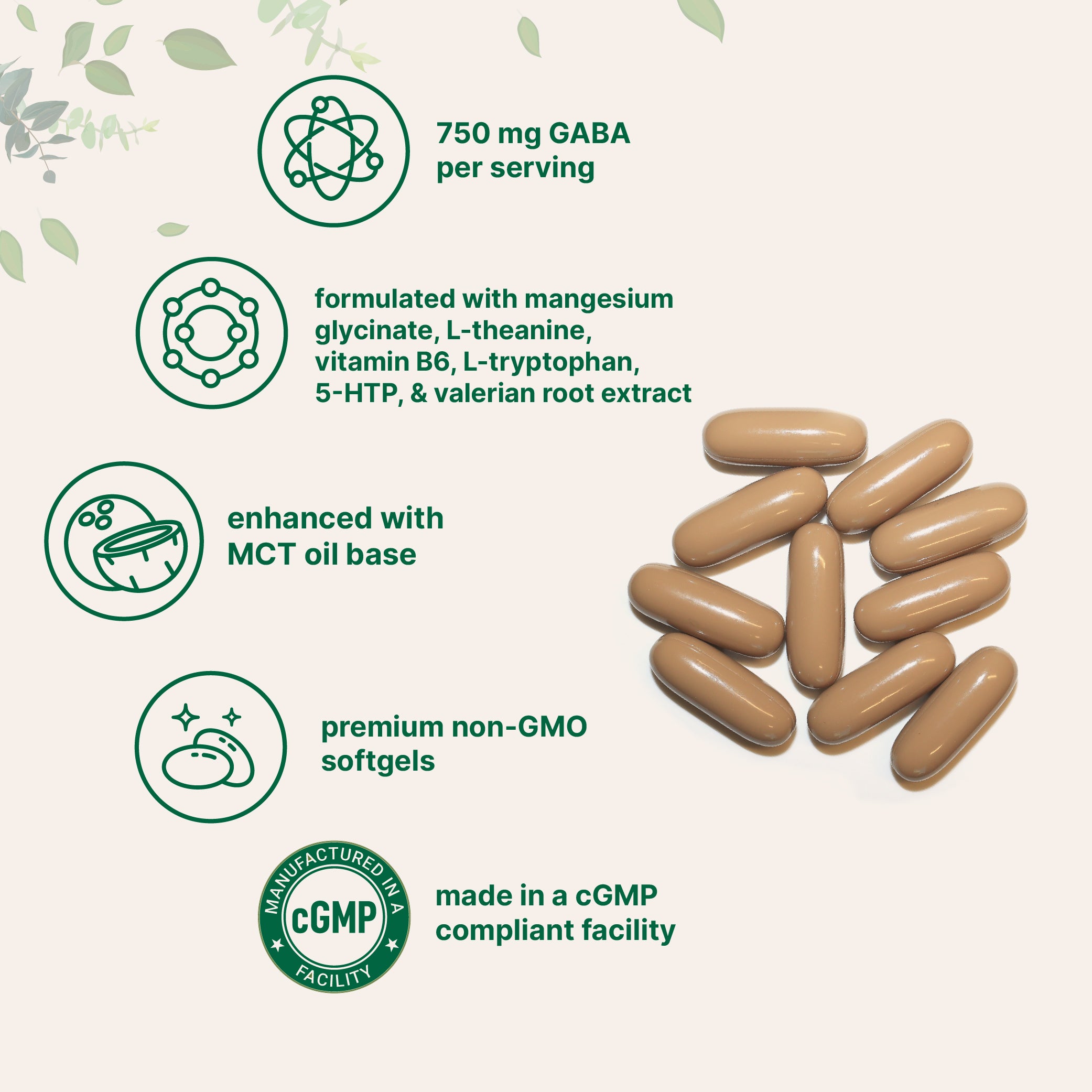 Micro Ingredients GABA 750mg Complex with MCT Oil, 300 Softgels