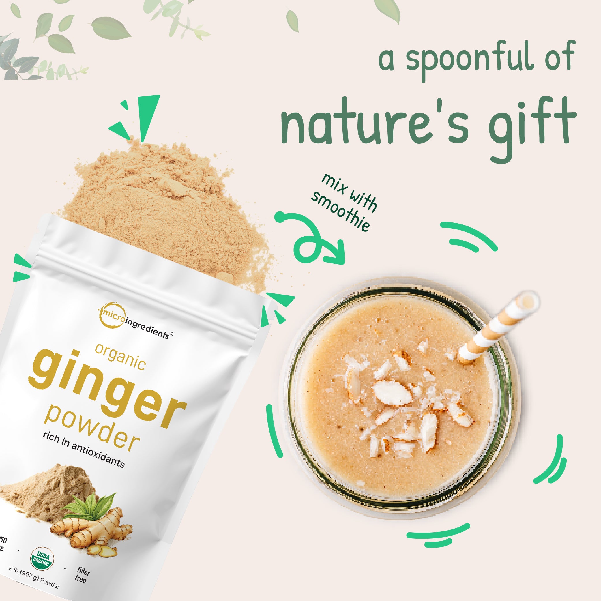Micro Ingredients Organic Ginger Powder