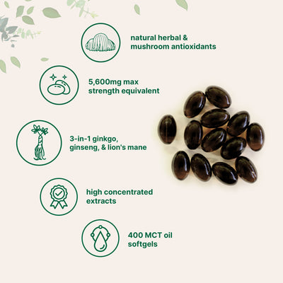 Micro Ingredients Ginkgo Biloba 5,600mg Equivalent, 400 Softgels, 3-in-1 with Ginseng & Lions Mane