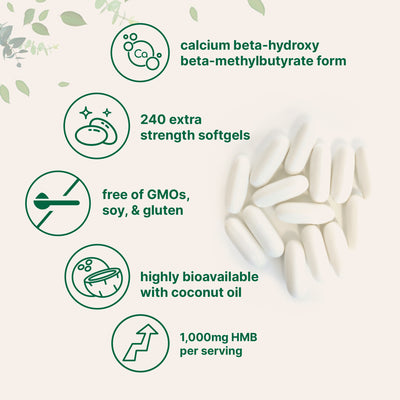 Micro Ingredients HMB 1,000mg, 240 Softgels with Coconut Oil, Highly Bioavailable